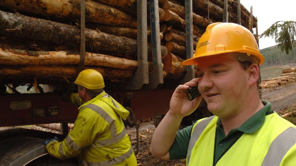 The timber industry contributes about €2.3 billion to our economy each year and supports 12,000 jobs in rural Ireland.