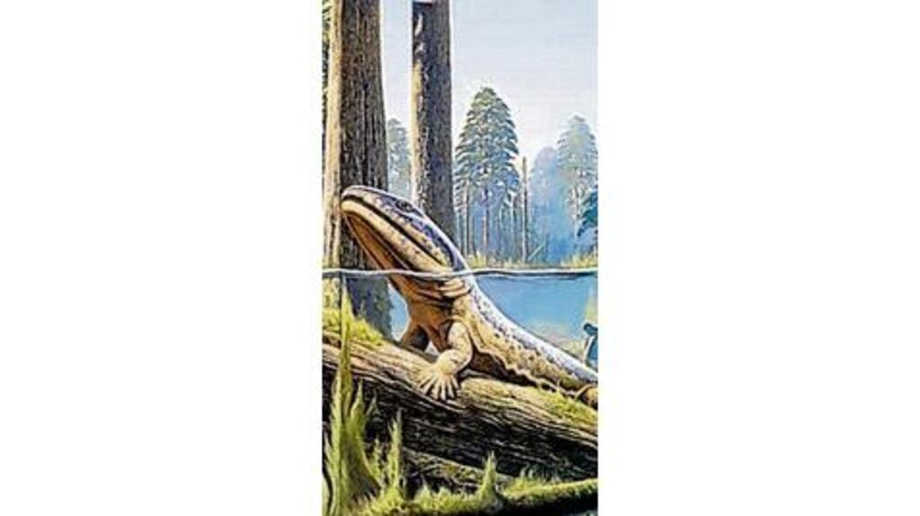The Acanthostega and Ichthyostega were early landwalkers, tetrapods, which could walk on land but also swim efficiently. The fossilised footprints discovered in Poland suggest this type of creature may have lived 18 million years before these animals.