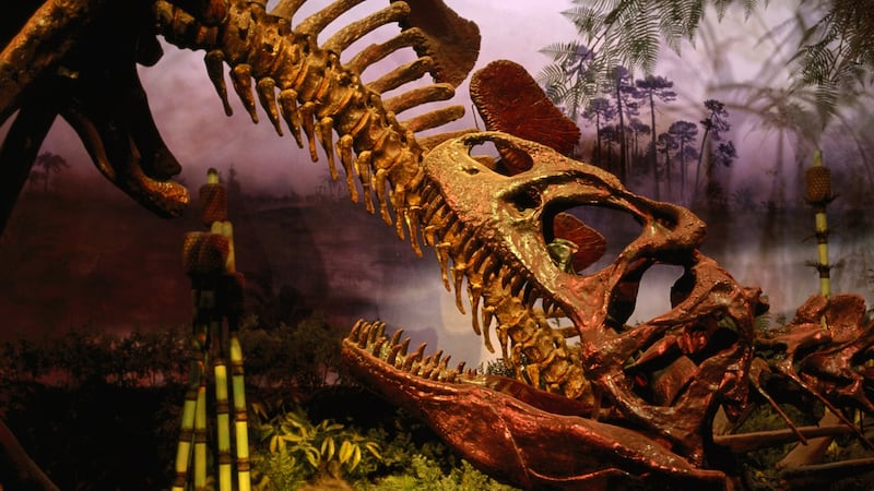 Dinosaur skeleton at the ROM