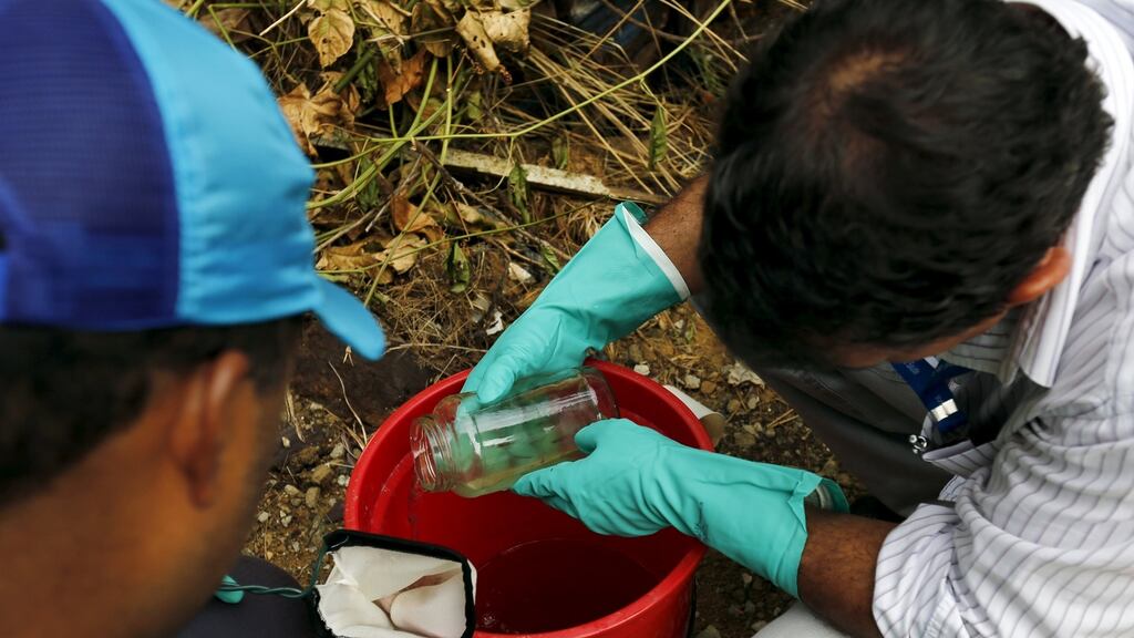 Health agents prepare guppy fish to consume larva of Zika-transmitting mosquito in Rio de Janeiro: the Catholic church in Brazil – one of the worst affected countries – is strongly opposed to allowing abortions for pregnant women exposed to the virus. Photograph: Sergio Moraes/Reuters