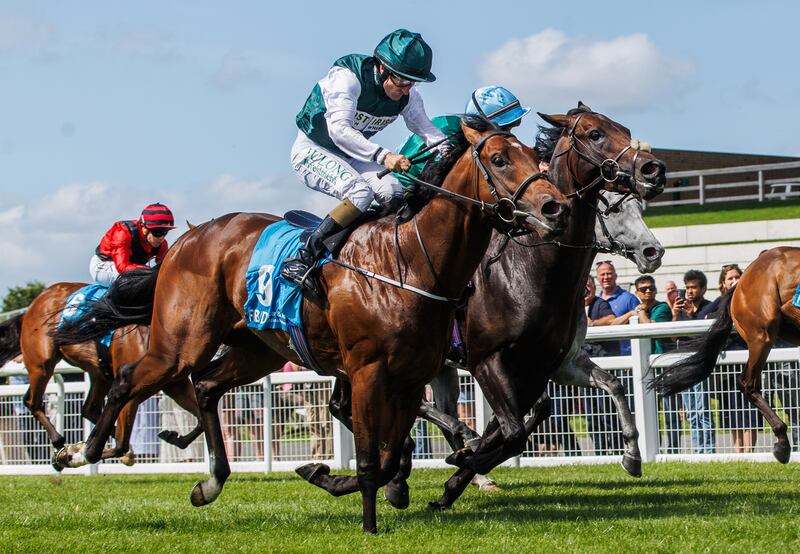 Shane Foley on Givemethebeatboys comes home to win the Phoenix Sprint Stakes at the Curragh in July. Photograph: Tom Maher/Inpho