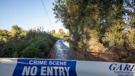 Murders have doubled - but is Ireland really more dangerous?