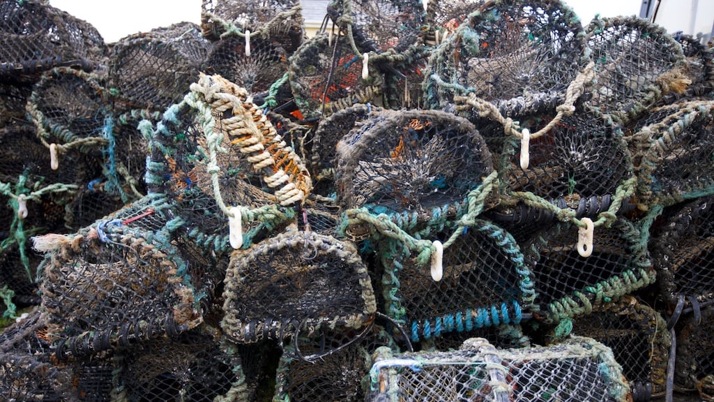 Crab and lobster pots: Inland Fisheries Ireland co-operated to “help protect the long-term sustainability of Ireland’s valuable crab, lobster and whelk fisheries”.
