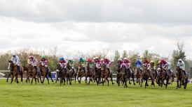 Gordon Elliott and Willie Mullins dominate Grand National field