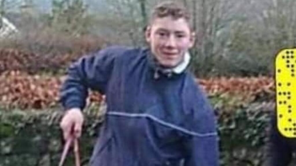 Miley Doran (17): said he had ‘no choice’ but to jump into the water to save the pair.