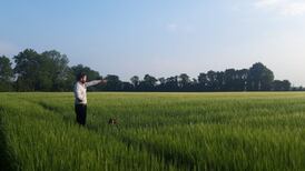 Canvas: From field to foam is the philosophy of this Tipperary brewery