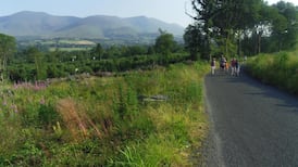 Go Walk: The Glen of Aherlow, Co Tipperary