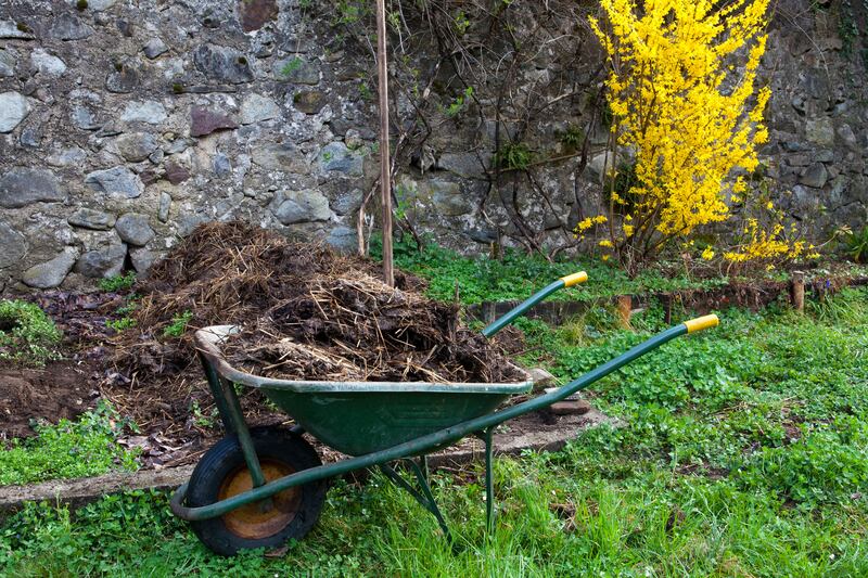 Home-made compost is a great start. Photograph: Alamy/PA