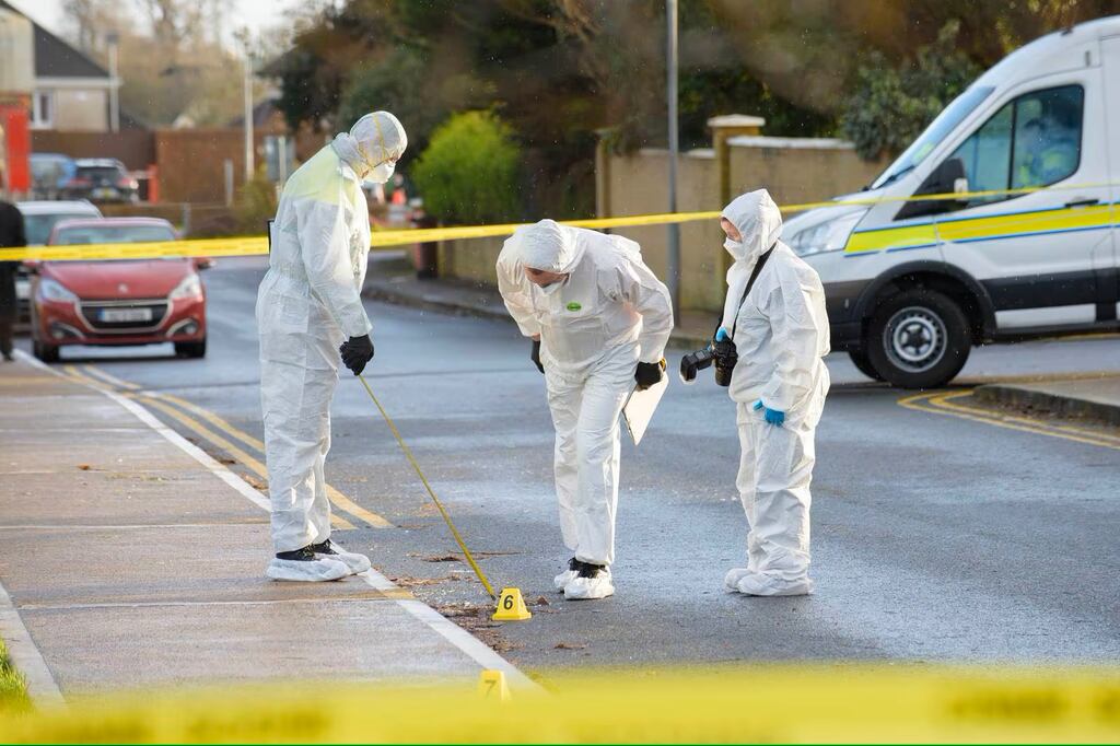 Gardaí in the Glenwood Estate in Carrigaline, Co Cork following the alleged assault on Matthew O'Neill. Photograph: Daragh Mc Sweeney/Provision