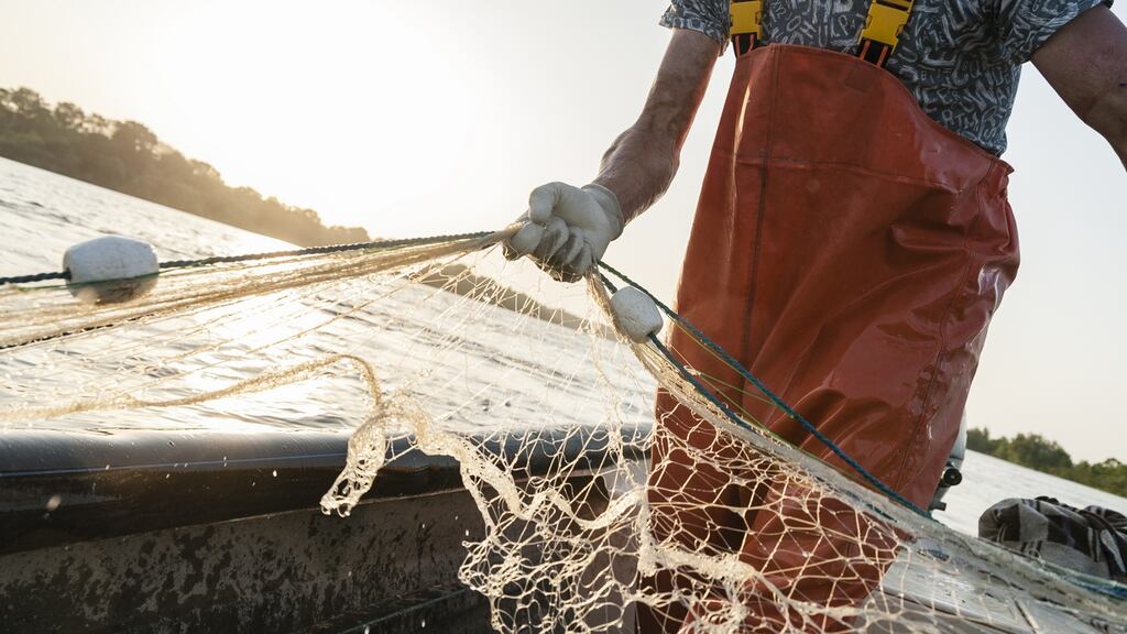 The European Parliament wants member states to compensate fishing vessel owners whose livelihoods are affected by wind farms. Photograph: iStock