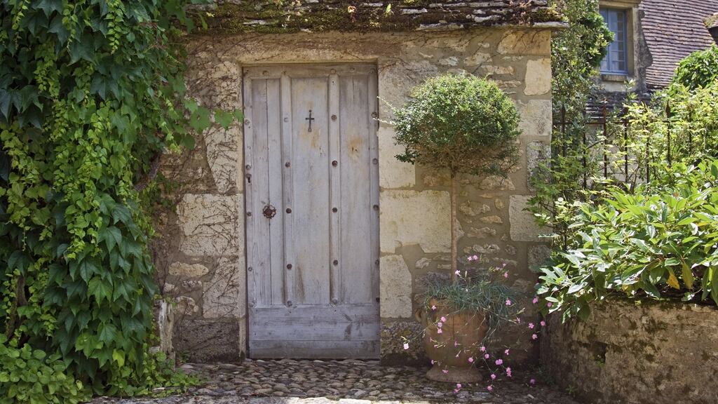 The only way to restore your lollipop tree to its leafy best is to re-pot it, a job best carried out at this time of year as the plant starts back into growth. Photograph: Thinkstock