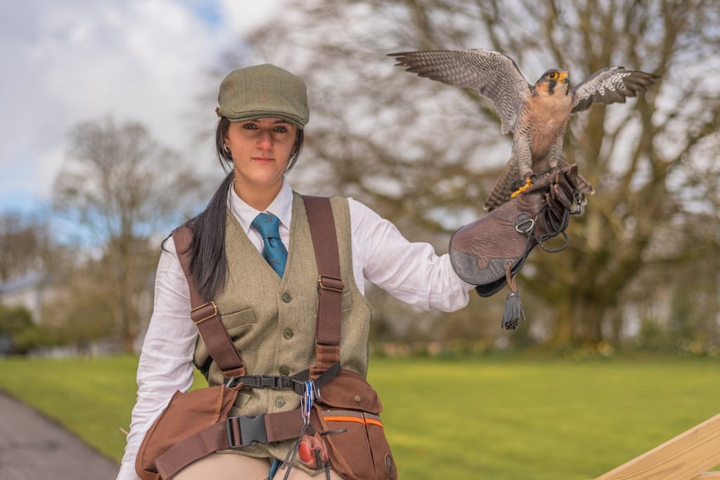 Fishing, golf, archery, clay pigeon shooting and of course falconry are on offer at Mount Falcon Estate in Co Mayo