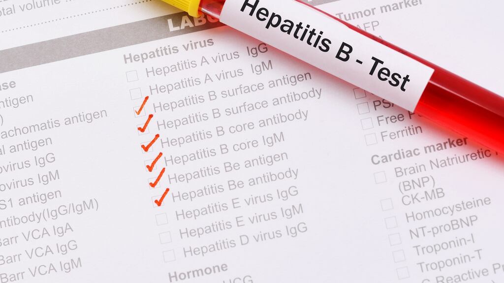 Guidelines in Ireland drawn up in 2015 recommend that HBV testing should be undertaken on both new immigrants from countries with a HBV prevalence of 2 per cent or greater and on immigrant women attending antenatal clinics. Photograph: iStock