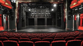 ‘Contradiction’ of allowing cinemas but not theatres to reopen is raised in Seanad