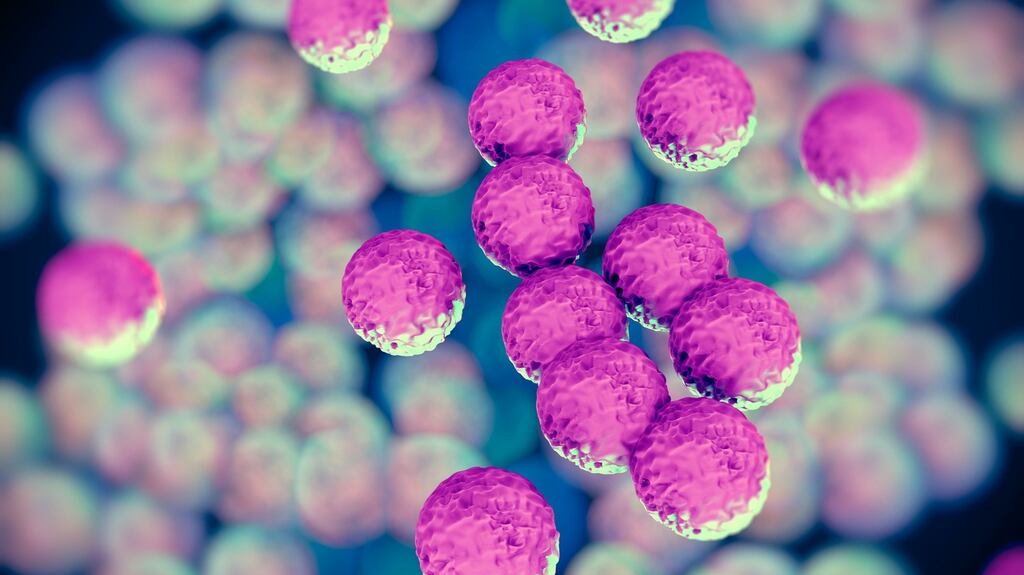 MRSA and E.coli could kill 10 million people worldwide by 2050.