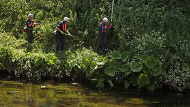 Second man arrested as search for Chloe Mitchell (21) continues