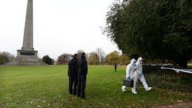 Man found dead in Phoenix Park was beaten and set on fire