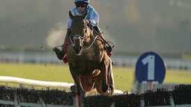 Honeysuckle elbows Apple’s Jade aside from Hatton’s Grace throne