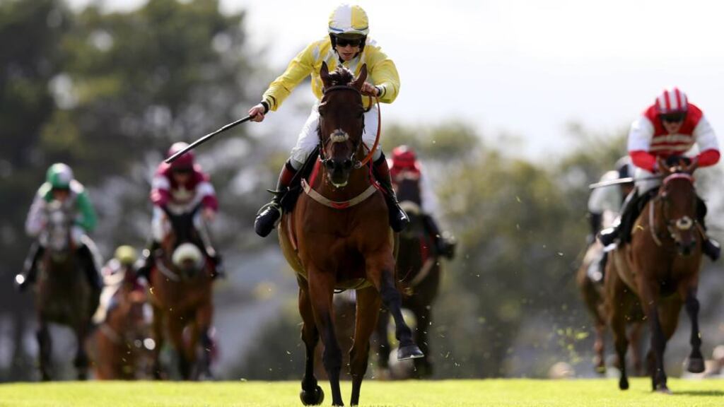 Beckwith Star ridden by Adam O’Neil comes home to win the Easyfix Rubber Products Handicap Hurdle at Ballybrit. Photograph: Ryan Byrne/Inpho