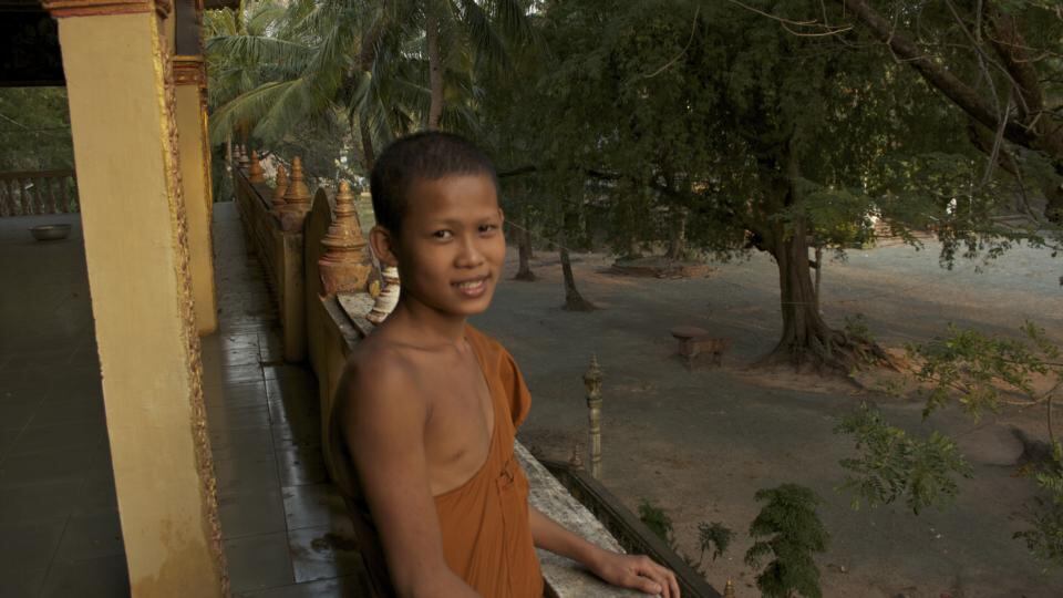 Photograph: Mark Sinnott