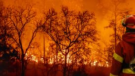 The Irish Times view on the latest environmental reports