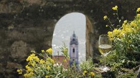 Austrian wines are money well spent