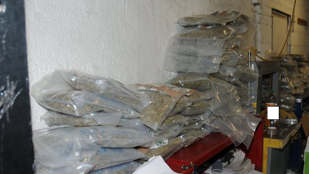 Members of the Drugs and Organised Crime Bureau carried out the search on Ballyfermot Parade. Photograph: An Garda Síochána