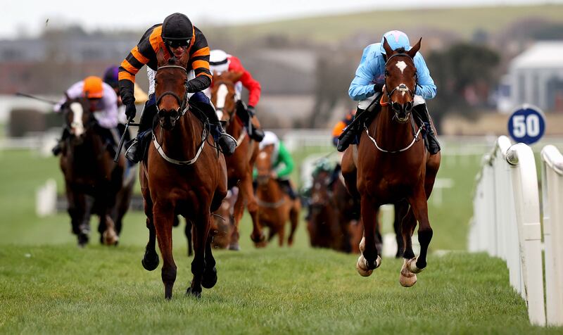 Nick Rockett is entered in the bet365 Gold Cup at Sandown, one of 13 entries at present from Willie Mullins's yard. Photograph: Ryan Byrne/Inpho