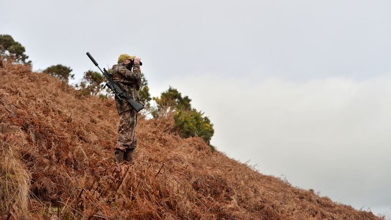 Deer hunter John Lalor stalking for deer near Cahir, Co Tipperary, with his .308 calibre rifle. Photograph: Alan Betson