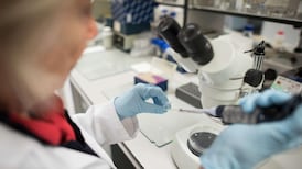 Ireland has once-in-a-lifetime chance, says former Unilever boss