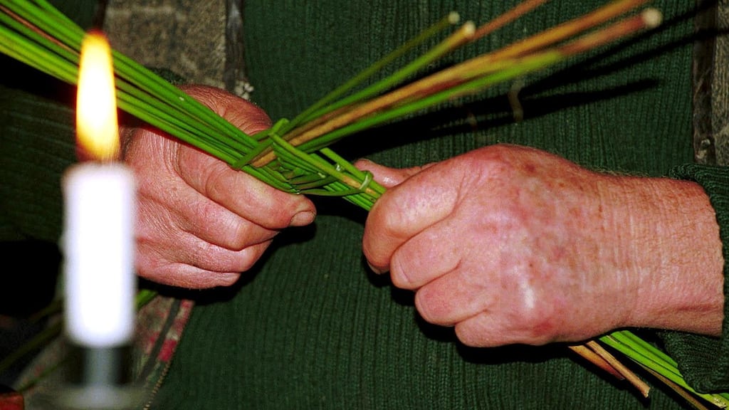 A traditional St. Brigid’s Cross. Photograph: Declan Doherty