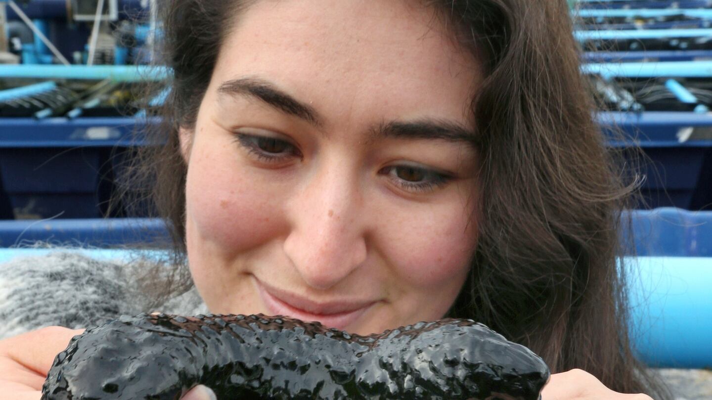 Sinead holding a sea cucumber at Rossaveal. Photograph: Joe O’Shaughnessy