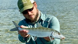 Munster schoolchildren tackle environmental issues for prizes