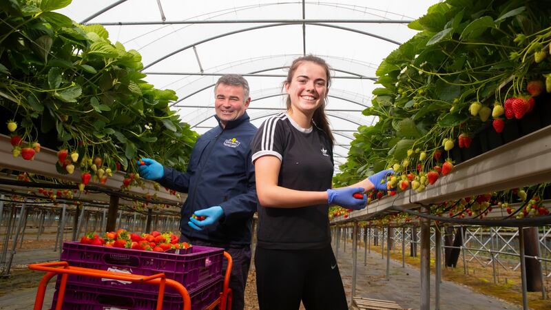 Eamonn and Analise at Greenhill Fruit Farm, Davidstown, Co Wexford. Photograph: Patrick Browne