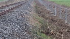 Anger as Irish Rail removes hedgerows along Limerick Junction-Waterford line