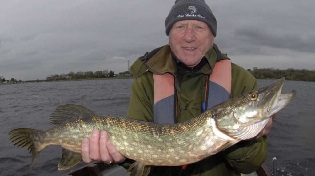 Derek Evans (The Irish Times) with a 3kg pike from the Duck Pond at Lanesborough. Photograph, Mike Flanagan