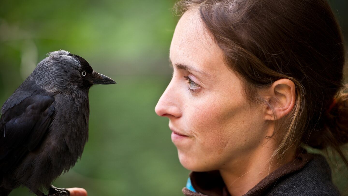 Biotopia in Munich is the brainchild of zoologist Auguste von Bayern, a member of Bavaria’s former royal family