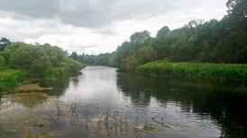 Irish waterways: the toll of years of draining, modification and engineering