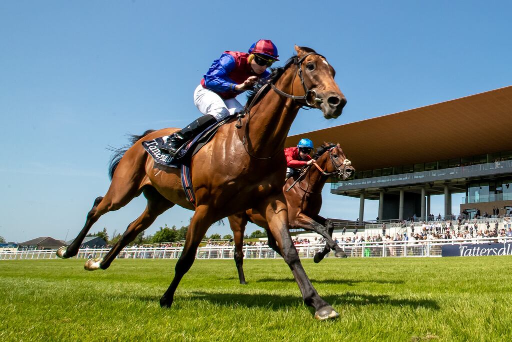 Luxembourg will have his final career start in the €2.9 million Vase over 1½ miles in Hong Kong before retiring to stud. Photograph: Morgan Treacy/Inpho