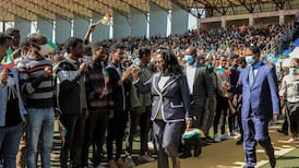 Efforts towards ceasefire in Ethiopia grow amid deepening conflict