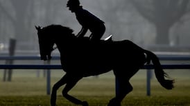 Douvan, Gail Carlisle and the moulding of a superstar