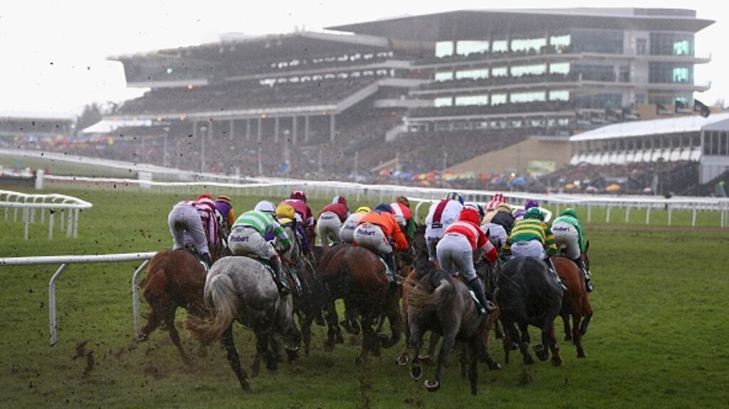 A view of the field as it enters the home straight in the Randox Health County Handicap Hurdle at the 2018 Cheltenham Festival. Photograph: Michael Steele/Getty Images