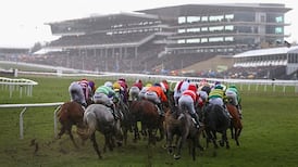 Cheltenham Festival: fence change revealed to reduce risks