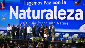 Malcolm Noonan tells Cop16 Ireland making progress in ending biodiversity loss