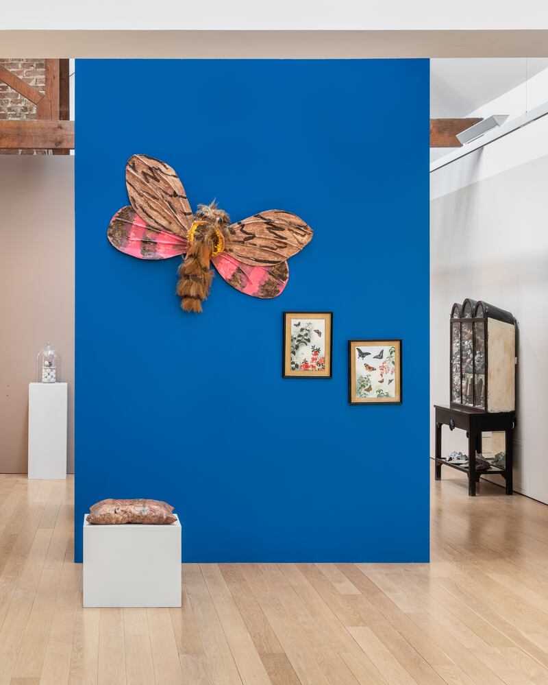 Kunstkammer at Lismore Castle Arts. Photograph: Jed Niezgoda