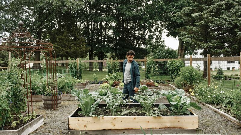 Knight tends the  vegetable garden at his farmhouse. Photograph: Tony Luong/New York Times