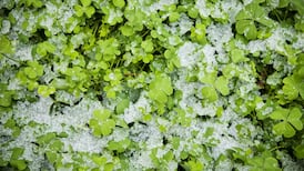 Batten down the shamrocks, the ‘Son of the Beast’ is marching towards Ireland