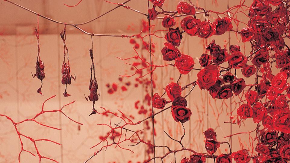 From volume III: Taken to Beds by Daphne Wright. Photograph: RIA