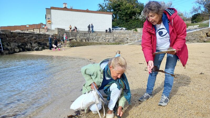 Coastwatch co-ordinator Karin Dubsky and volunteer surveyor Roslyn Nicholson surveying the shoreline at Sandycove at the weekend.