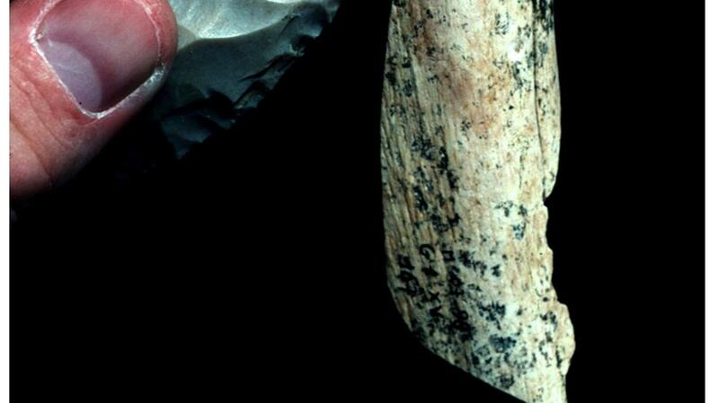 A fragment of Neanderthal thigh bone shows cutmarks left by the sharp edge of a flint stone tool, similar to the one held here. Photograph: David DeGusta-Berkeley/Reuters